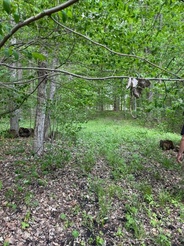 V/L Scottdale Road, Berrien Springs, MI 49103