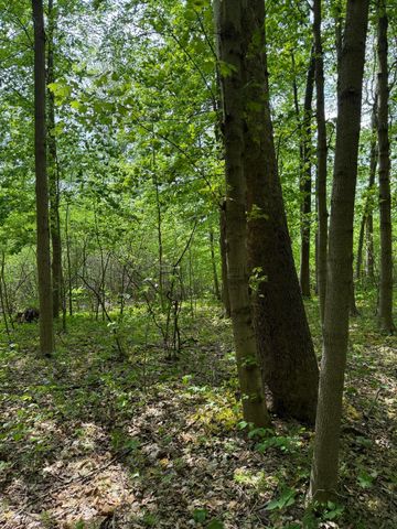 V/L Scottdale Road, Berrien Springs, MI 49103