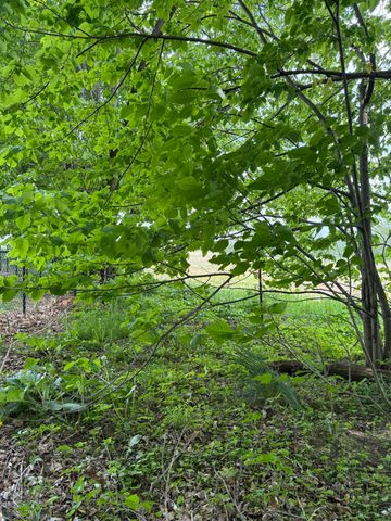 V/L Scottdale Road, Berrien Springs, MI 49103
