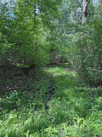 V/L Scottdale Road, Berrien Springs, MI 49103