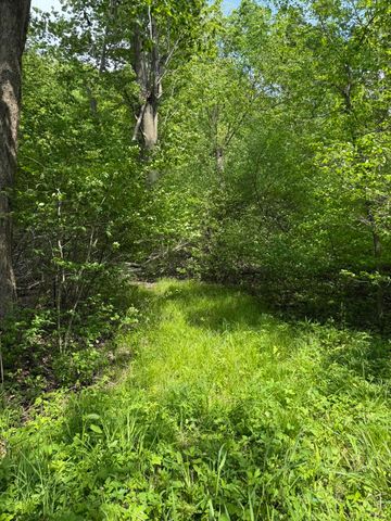 V/L Scottdale Road, Berrien Springs, MI 49103