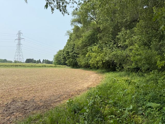 V/L Scottdale Road, Berrien Springs, MI 49103