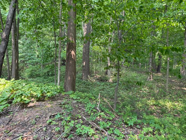V/L Scottdale Road, Berrien Springs, MI 49103