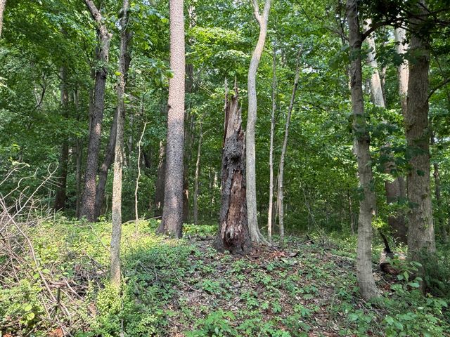 V/L Scottdale Road, Berrien Springs, MI 49103
