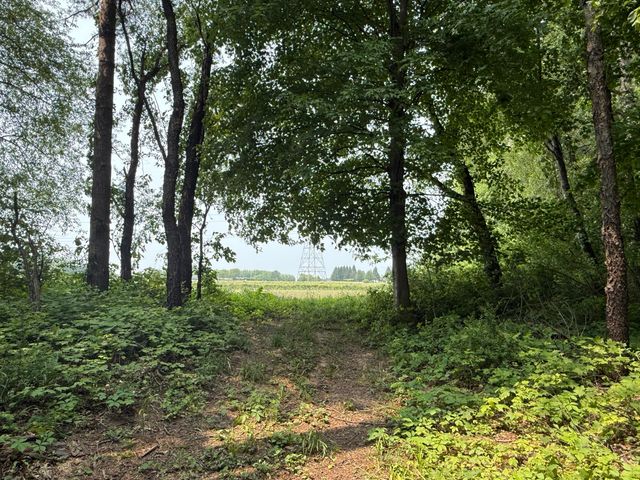 V/L Scottdale Road, Berrien Springs, MI 49103