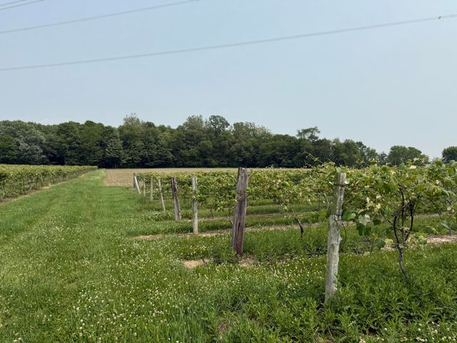 V/L Scottdale Road, Berrien Springs, MI 49103
