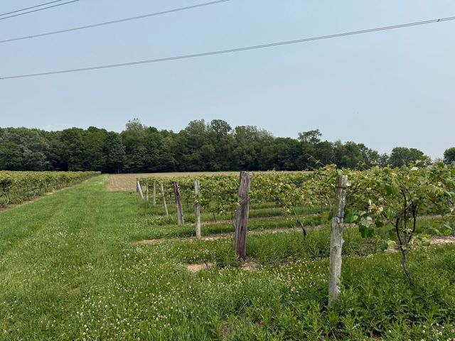 V/L Scottdale Road, Berrien Springs, MI 49103