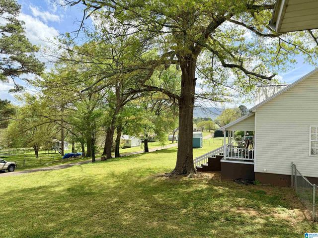 101 EUBANKS AVENUE, Piedmont, AL 36272