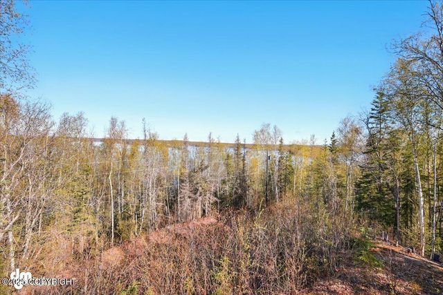8266 S Big Lake Road, Big Lake, AK 99652