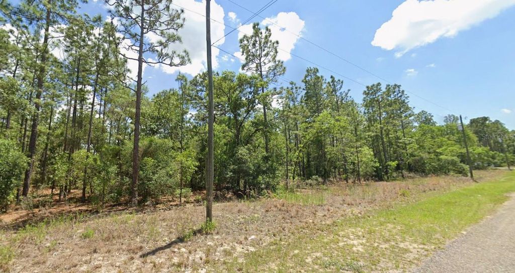 Image 2 of property listing at 9409 N FAIRY LILLY DRIVE, Citrus Springs, FL 34433