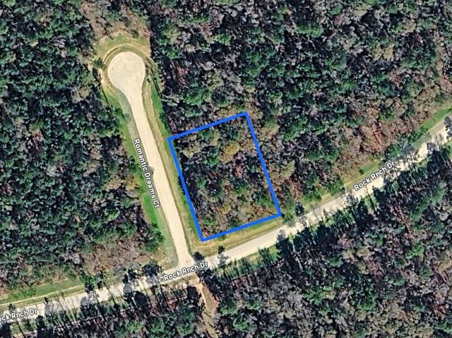 172 Rock Ranch Road, New Waverly, TX 77358