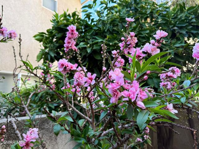 30808 Calaise Court, Westlake Village, CA 91362