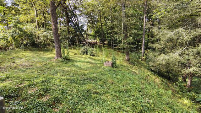 414 Guille St, Athens, TN 37303