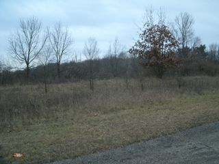 0 Drew Drive Lot 22, Niles Twp, MI 49120