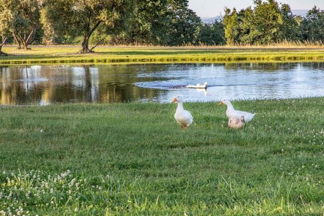 22579 N Marina Way, Cottonwood, CA 96022