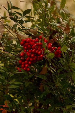 208 Ridge One Circle, Hot Springs, AR 71901