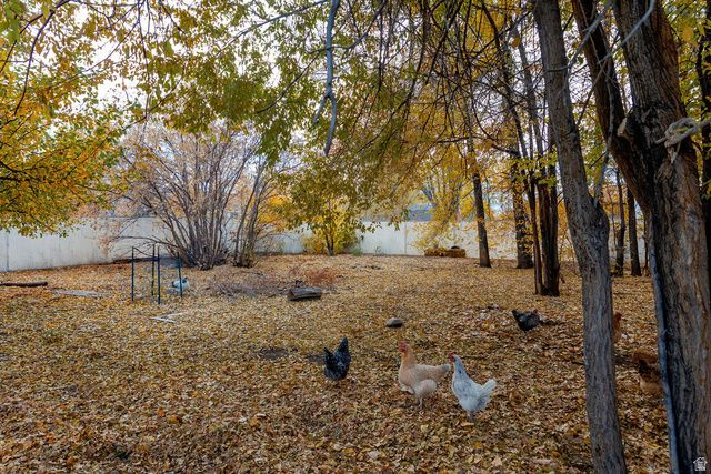 1757 N 1600 W, Mapleton, UT 84664