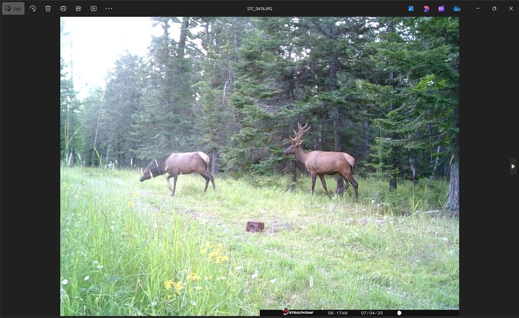 3039 and 3005 Foothill Road, Kalispell, MT 59901 photo 171