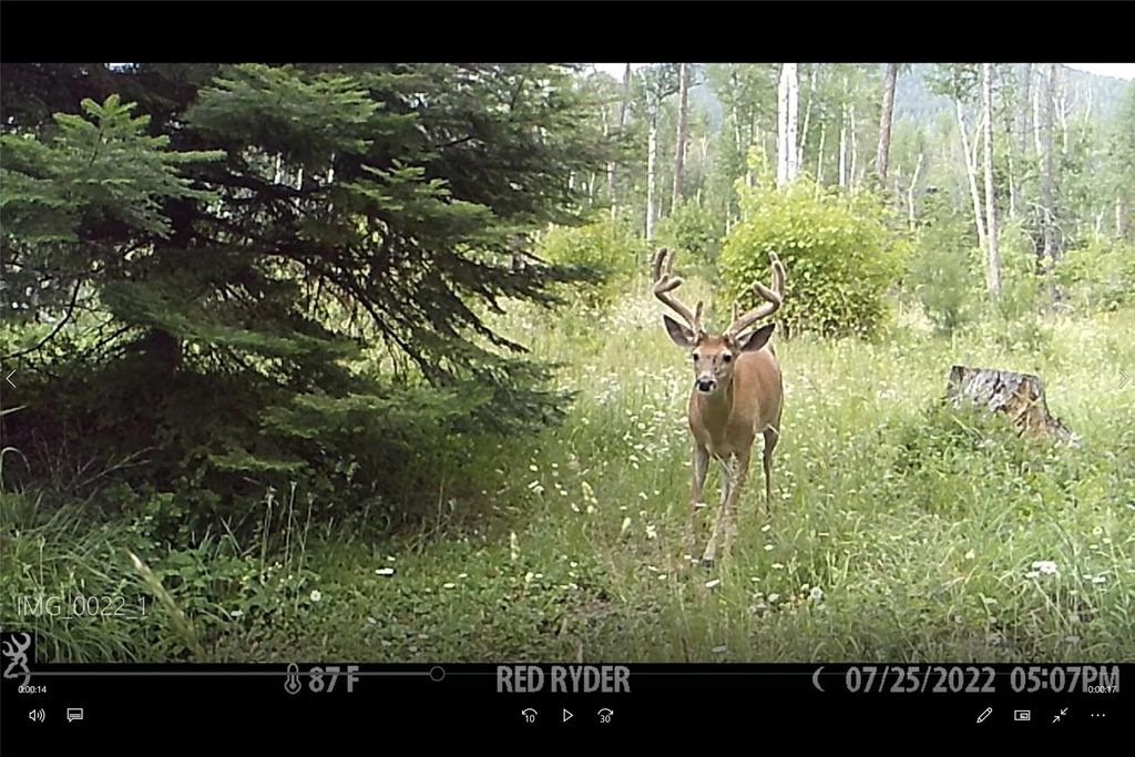 3039 and 3005 Foothill Road, Kalispell, MT 59901 photo 172