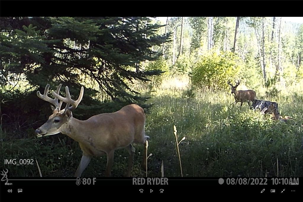 3039 and 3005 Foothill Road, Kalispell, MT 59901 photo 173