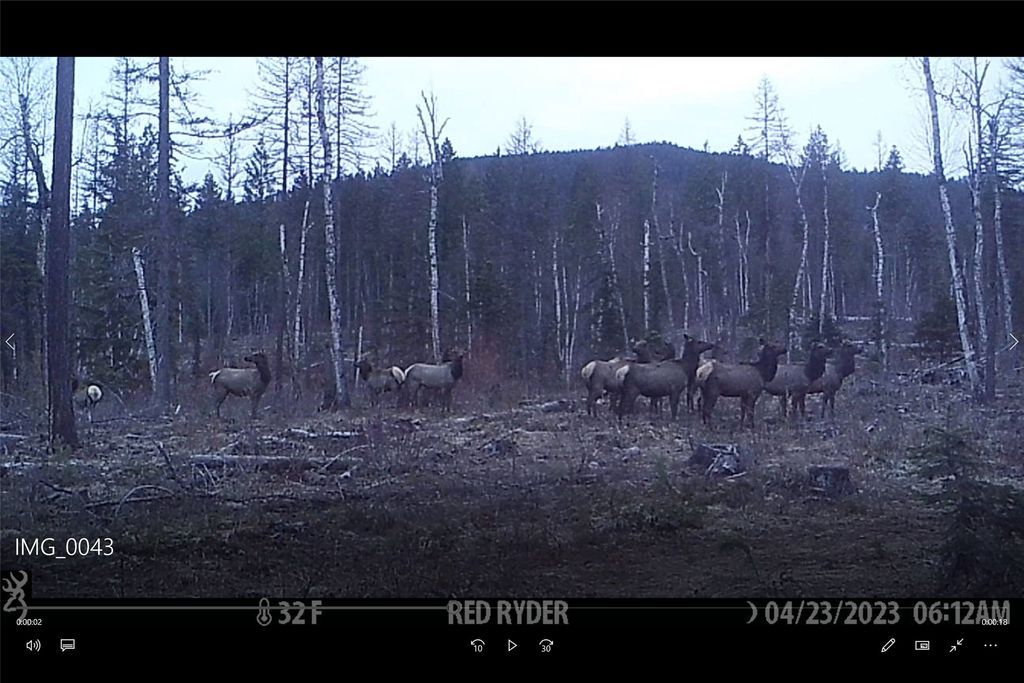 3039 and 3005 Foothill Road, Kalispell, MT 59901 photo 174