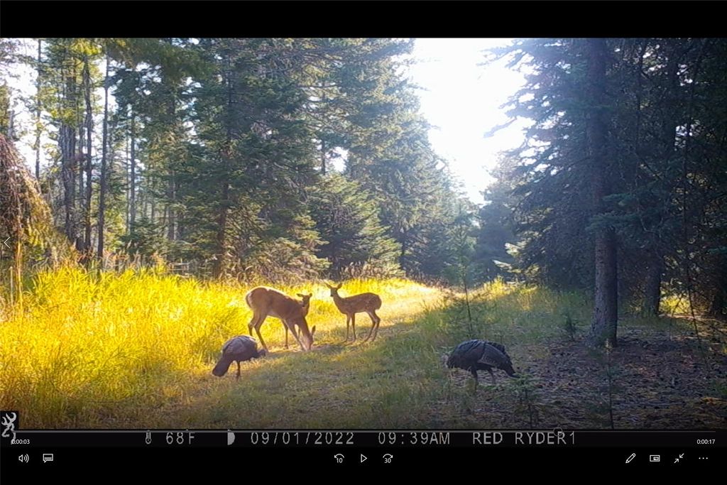 3039 and 3005 Foothill Road, Kalispell, MT 59901 photo 175