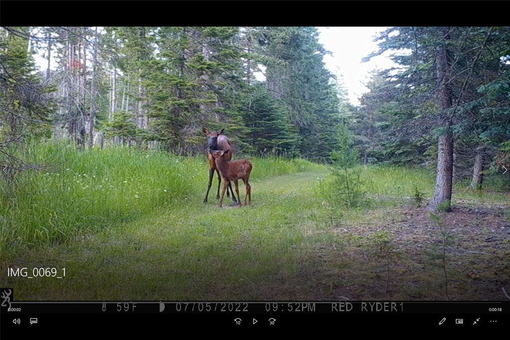 3039 and 3005 Foothill Road, Kalispell, MT 59901 photo 177