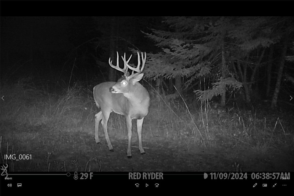 3039 and 3005 Foothill Road, Kalispell, MT 59901 photo 178