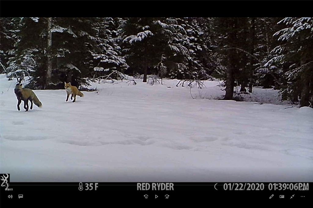 3039 and 3005 Foothill Road, Kalispell, MT 59901 photo 179