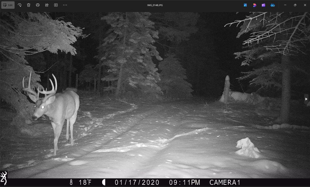 3039 and 3005 Foothill Road, Kalispell, MT 59901 photo 181