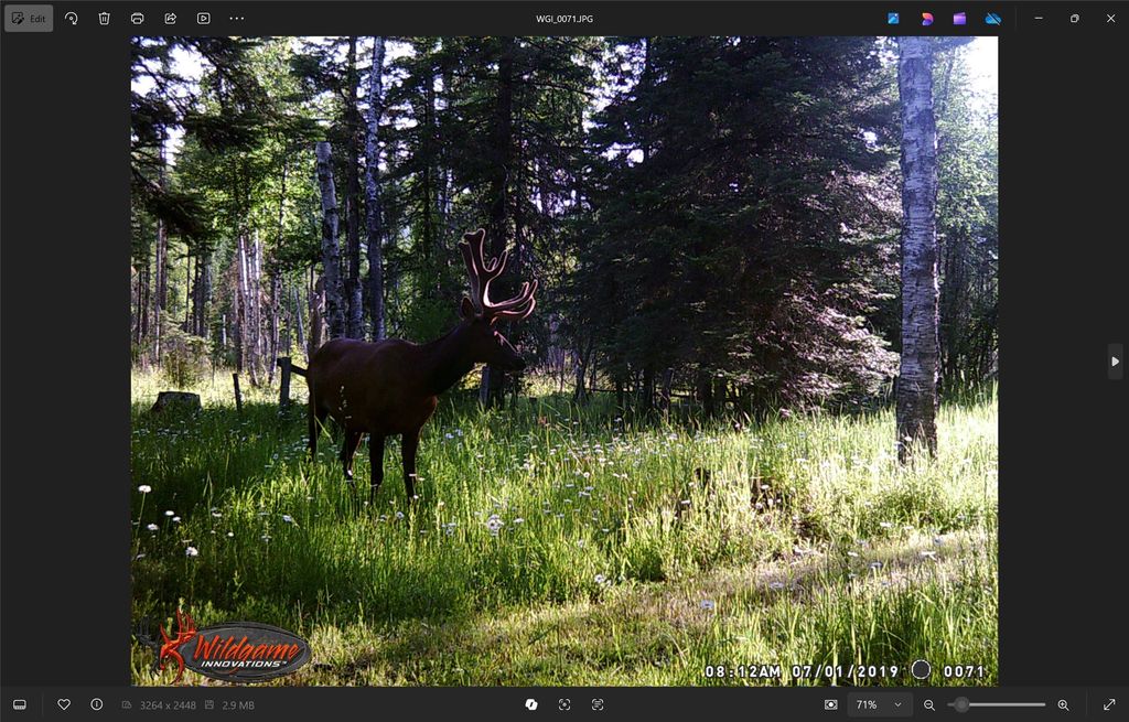 3039 and 3005 Foothill Road, Kalispell, MT 59901 photo 182