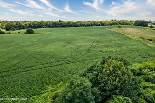 TR 5 Cropper Rd, Pleasureville, KY 40057