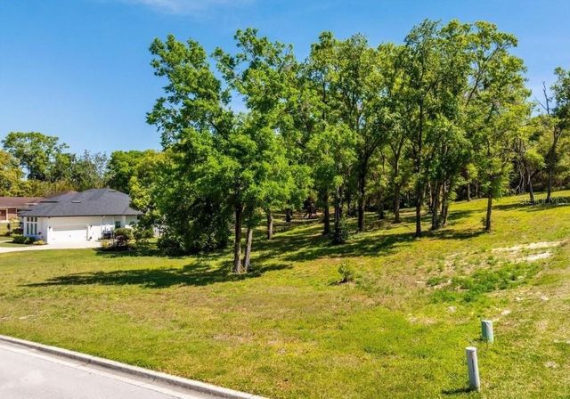 7041 NORNE LANE, Mount Dora, FL 32757