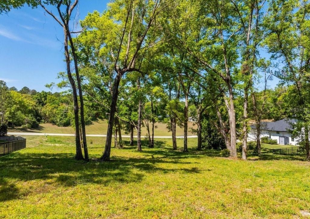 Image 9 of property listing at 7041 NORNE LANE, Mount Dora, FL 32757