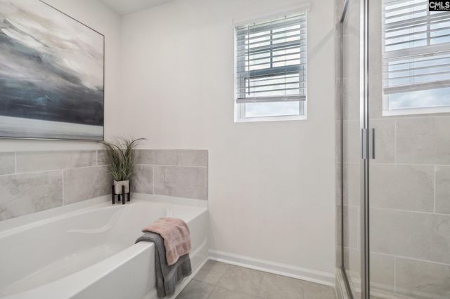 614 Griffon Drive, Chapin, SC 29036