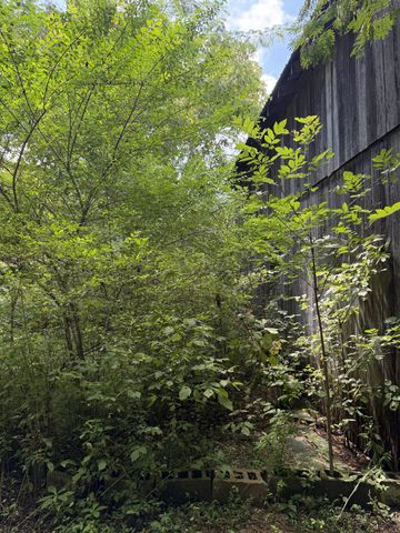 5208 Little Marrowbone Rd, Ashland City, TN 37015