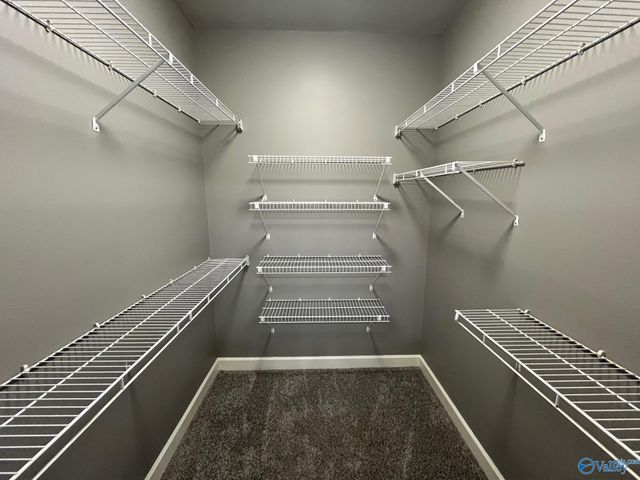 146 Bobwhite Drive, Priceville, AL 35603