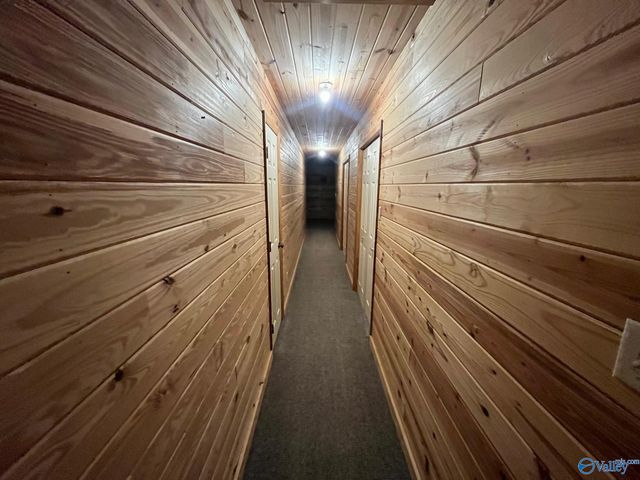 146 Bobwhite Drive, Priceville, AL 35603