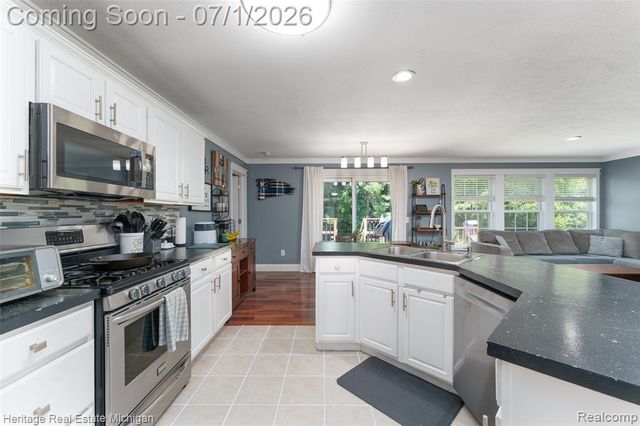 319 E Diamond Way, Morrice, MI 48857
