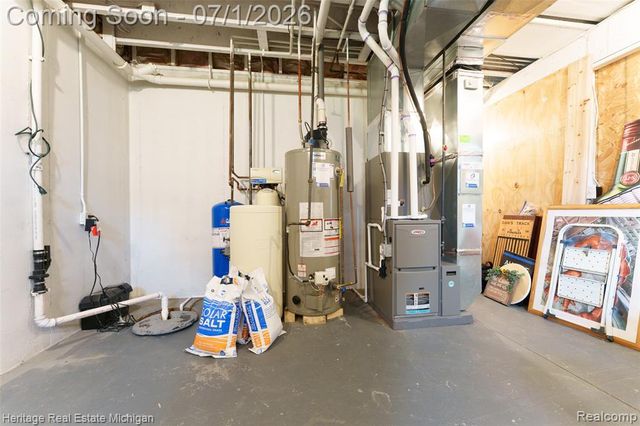 319 E Diamond Way, Morrice, MI 48857
