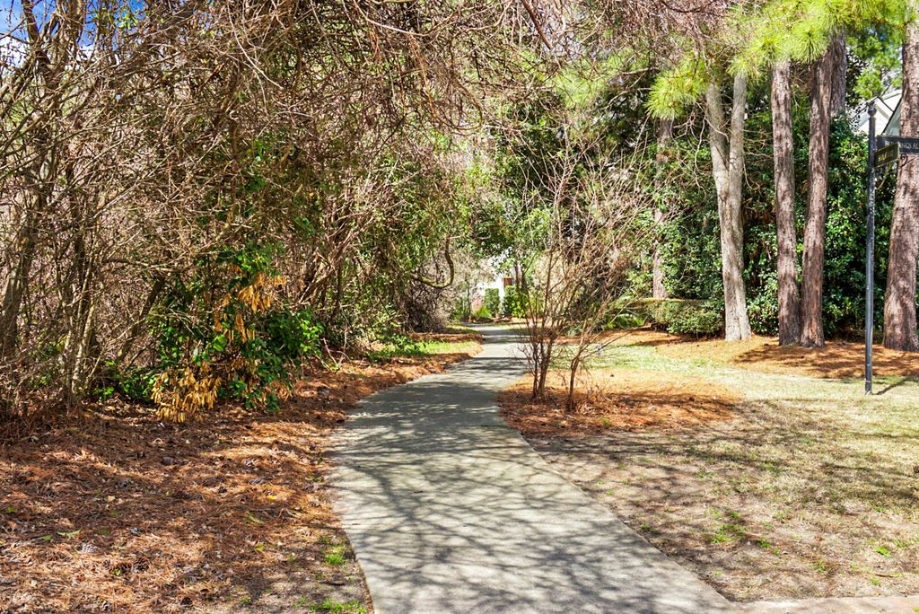 Image 49 of property listing at 129 Sabal Court, Summerville, SC 29483