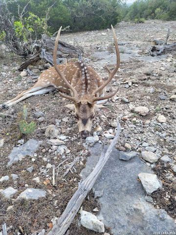 752 SD 46061, Rocksprings, TX 78880