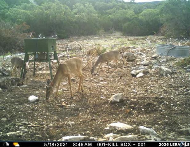 752 SD 46061, Rocksprings, TX 78880