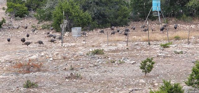 752 SD 46061, Rocksprings, TX 78880