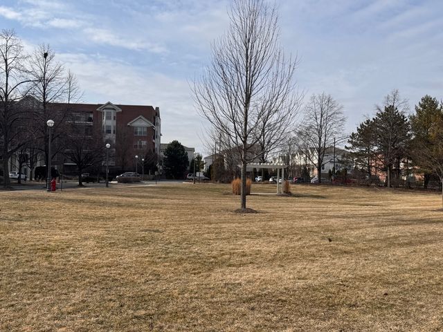 3135 Town Square Drive 104, Rolling Meadows, IL 60008