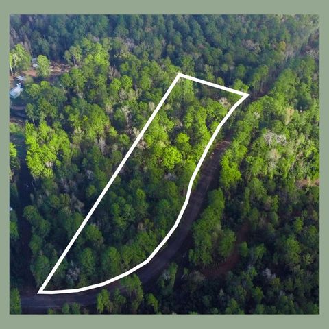00 Lakeview Estates Drive, Coldspring, TX 77331