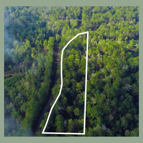 00 Lakeview Estates Drive, Coldspring, TX 77331