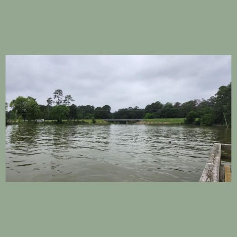00 Lakeview Estates Drive, Coldspring, TX 77331