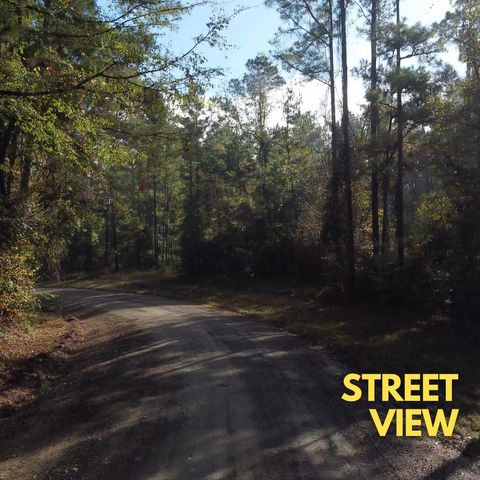 00 Lakeview Estates Drive, Coldspring, TX 77331
