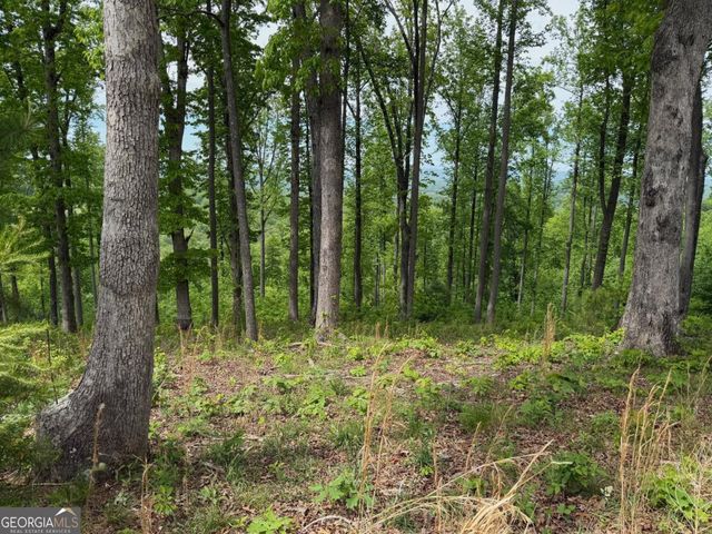LOT 140 Highland Park 140, Blairsville, GA 30512